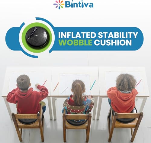 2-Pack Stability Balance Disc