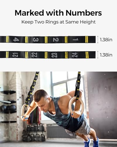 Gymnastics Rings
