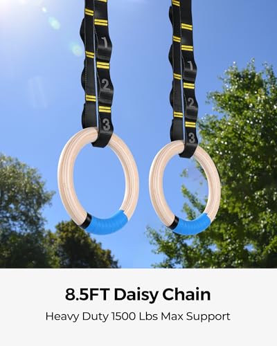 Gymnastics Rings
