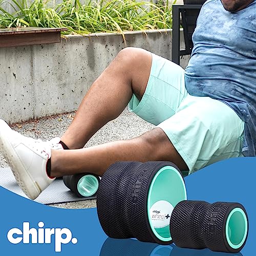 Chirp Wheel Foam Roller